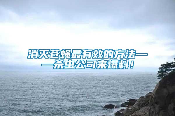 消滅蒼蠅最有效的方法——?dú)⑾x公司來爆料！