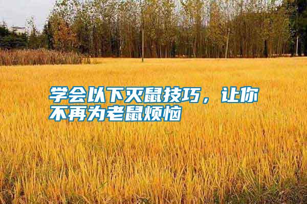 學(xué)會(huì)以下滅鼠技巧，讓你不再為老鼠煩惱