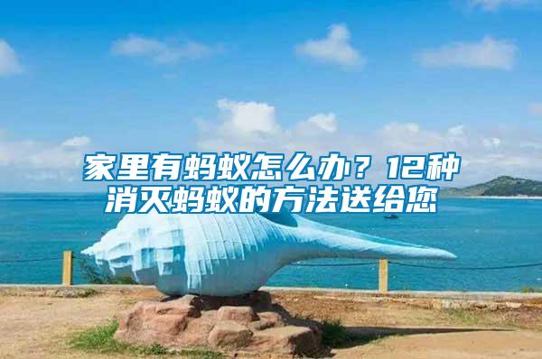 家里有螞蟻怎么辦？12種消滅螞蟻的方法送給您