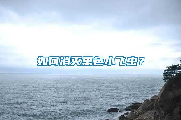 如何消滅黑色小飛蟲？