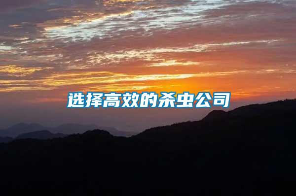選擇高效的殺蟲(chóng)公司