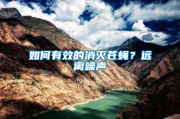 如何有效的消滅蒼蠅？遠(yuǎn)離噪聲