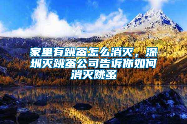 家里有跳蚤怎么消滅，深圳滅跳蚤公司告訴你如何消滅跳蚤