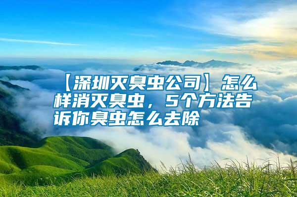 【深圳滅臭蟲(chóng)公司】怎么樣消滅臭蟲(chóng)，5個(gè)方法告訴你臭蟲(chóng)怎么去除