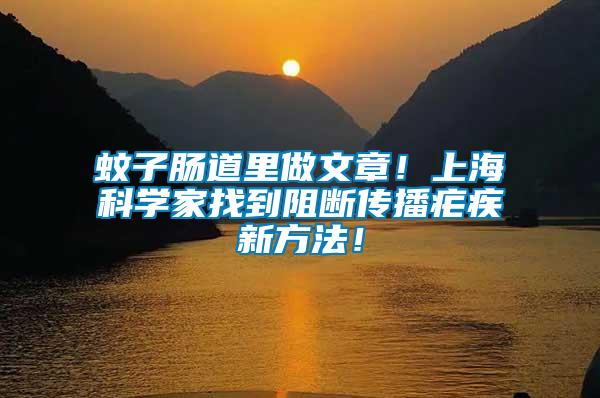 蚊子腸道里做文章！上海科學(xué)家找到阻斷傳播瘧疾新方法！