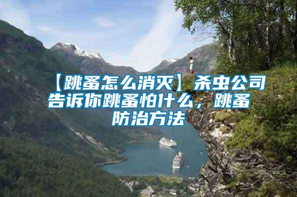 【跳蚤怎么消滅】殺蟲(chóng)公司告訴你跳蚤怕什么，跳蚤防治方法