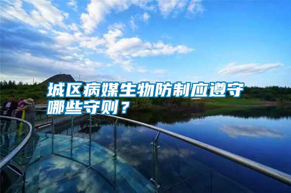 城區(qū)病媒生物防制應(yīng)遵守哪些守則？