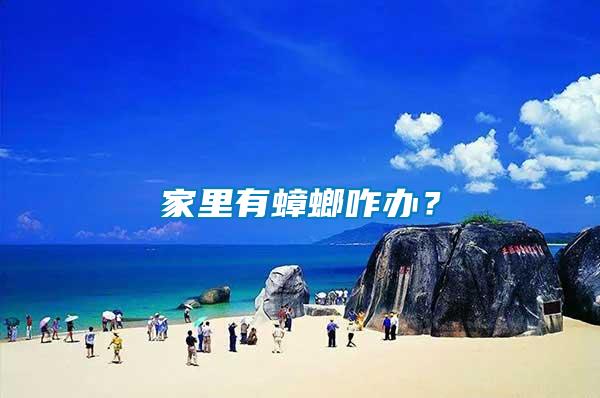 家里有蟑螂咋辦？