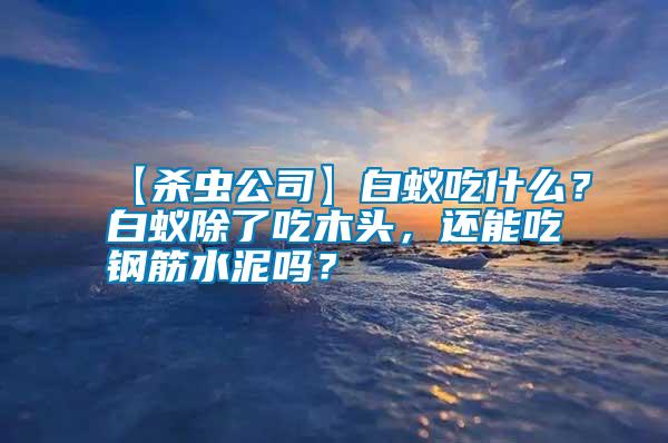 【殺蟲公司】白蟻吃什么？白蟻除了吃木頭，還能吃鋼筋水泥嗎？
