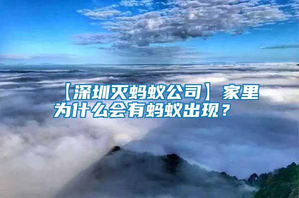 【深圳滅螞蟻公司】家里為什么會有螞蟻出現(xiàn)？