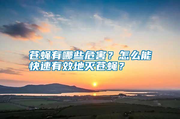 蒼蠅有哪些危害？怎么能快速有效地滅蒼蠅？