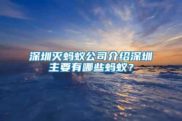 深圳滅螞蟻公司介紹深圳主要有哪些螞蟻？