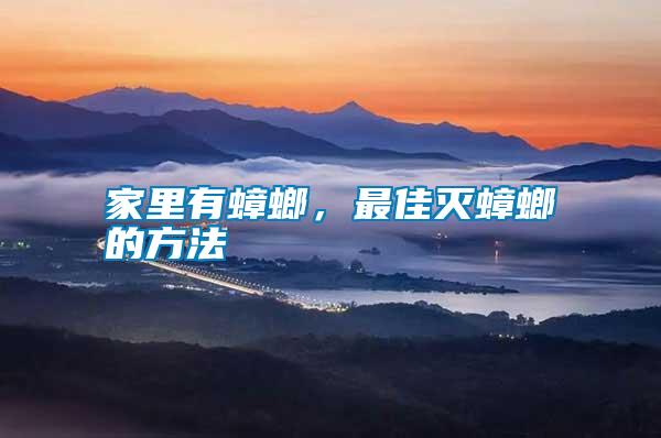 家里有蟑螂，最佳滅蟑螂的方法