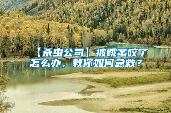 【殺蟲公司】被跳蚤咬了怎么辦，教你如何急救？