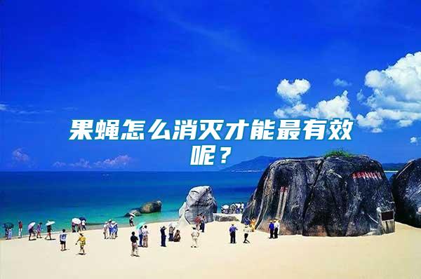 果蠅怎么消滅才能最有效呢？