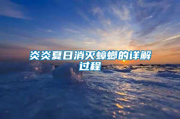 炎炎夏日消滅蟑螂的詳解過(guò)程