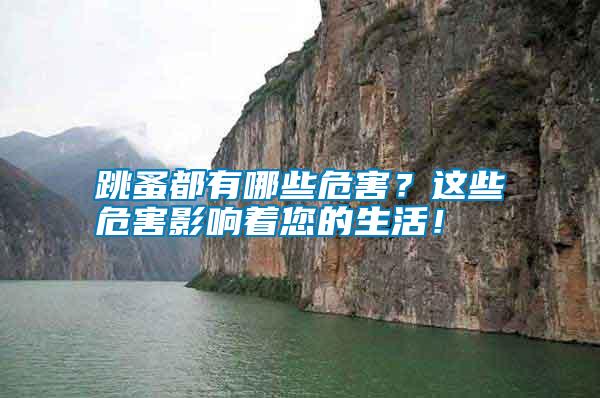 跳蚤都有哪些危害？這些危害影響著您的生活！