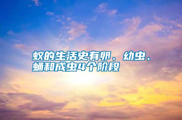 蟻的生活史有卵、幼蟲、蛹和成蟲4個階段