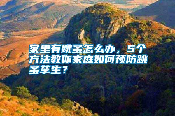 家里有跳蚤怎么辦，5個(gè)方法教你家庭如何預(yù)防跳蚤孳生？