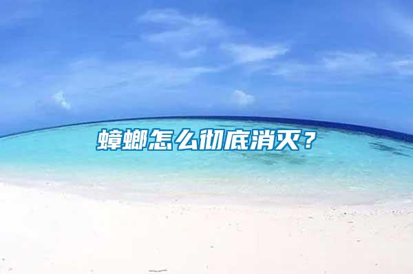 蟑螂怎么徹底消滅？