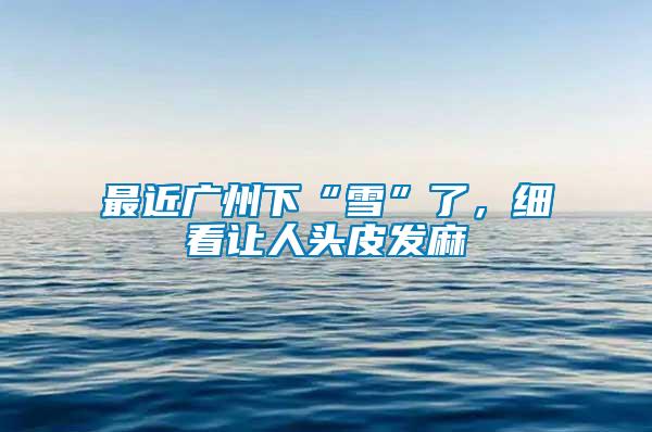 最近廣州下“雪”了，細看讓人頭皮發(fā)麻