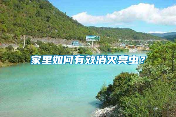 家里如何有效消滅臭蟲？