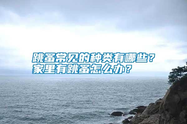跳蚤常見的種類有哪些？家里有跳蚤怎么辦？