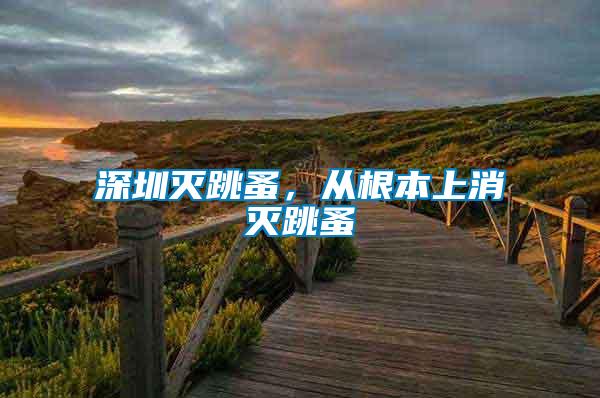 深圳滅跳蚤，從根本上消滅跳蚤