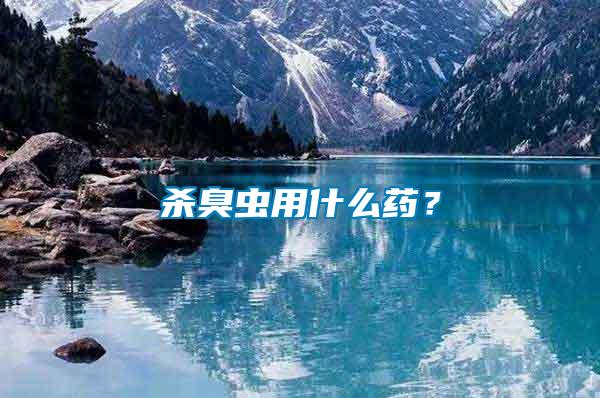 殺臭蟲用什么藥？