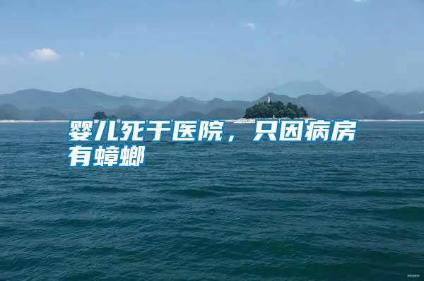 嬰兒死于醫(yī)院，只因病房有蟑螂