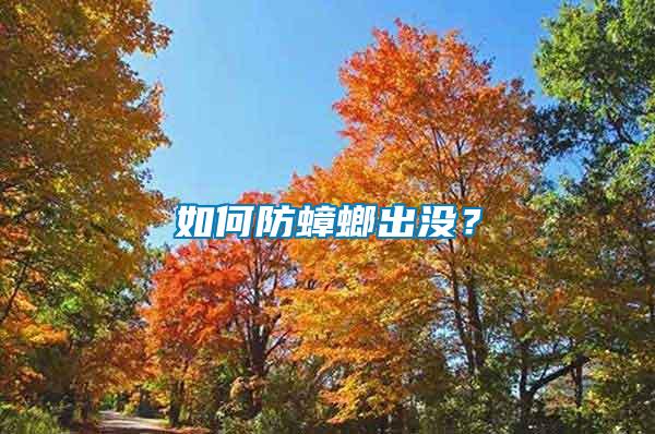 如何防蟑螂出沒？