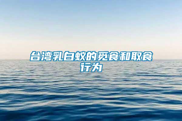 臺(tái)灣乳白蟻的覓食和取食行為