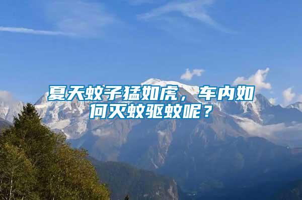 夏天蚊子猛如虎，車內(nèi)如何滅蚊驅(qū)蚊呢？