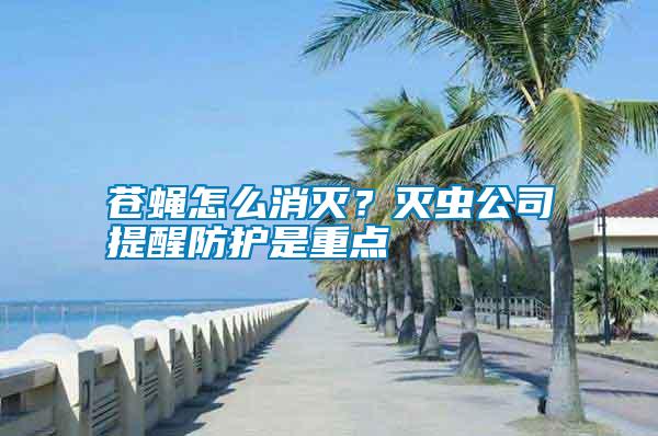 蒼蠅怎么消滅？滅蟲公司提醒防護是重點