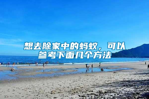 想去除家中的螞蟻，可以參考下面幾個方法