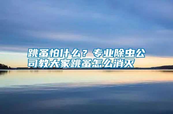 跳蚤怕什么？專(zhuān)業(yè)除蟲(chóng)公司教大家跳蚤怎么消滅