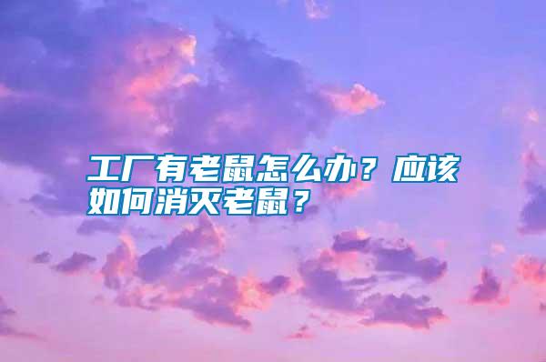 工廠有老鼠怎么辦？應(yīng)該如何消滅老鼠？