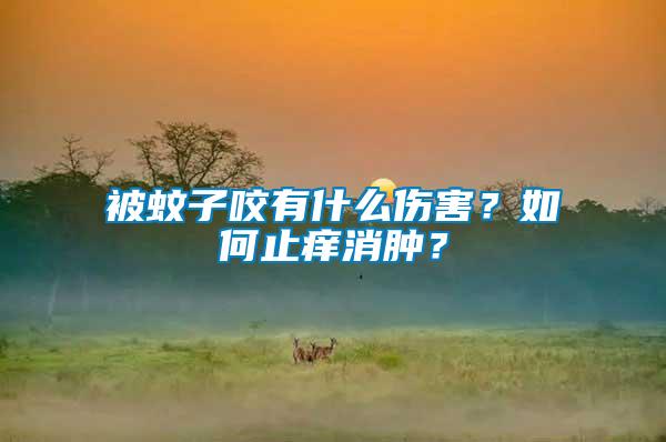 被蚊子咬有什么傷害？如何止癢消腫？