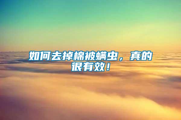 如何去掉棉被螨蟲，真的很有效！