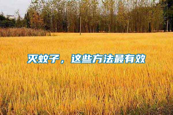 滅蚊子，這些方法最有效
