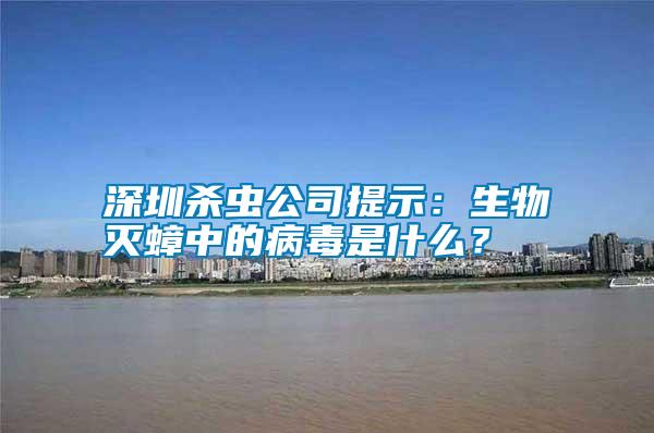 深圳殺蟲(chóng)公司提示：生物滅蟑中的病毒是什么？