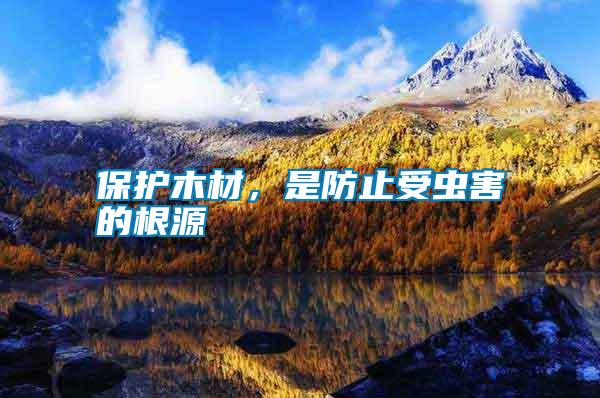保護(hù)木材，是防止受蟲害的根源