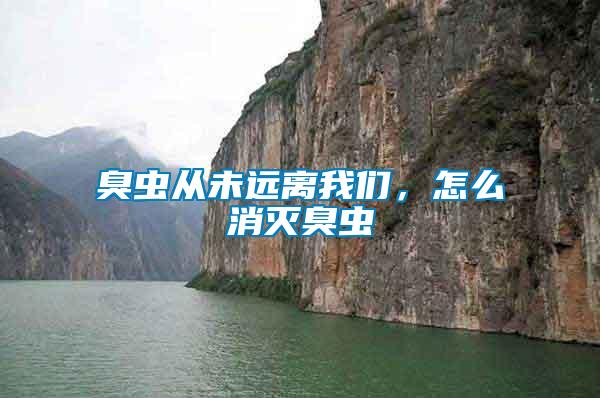 臭蟲從未遠(yuǎn)離我們，怎么消滅臭蟲