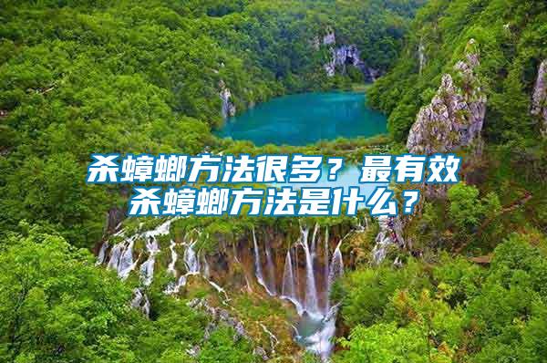 殺蟑螂方法很多？最有效殺蟑螂方法是什么？