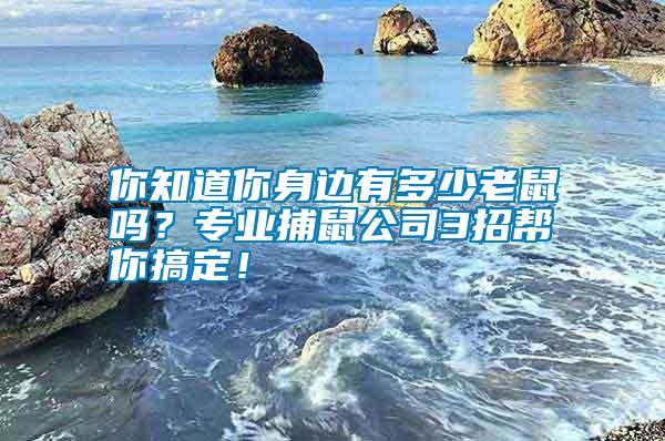 你知道你身邊有多少老鼠嗎？專業(yè)捕鼠公司3招幫你搞定！