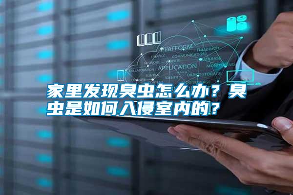 家里發(fā)現(xiàn)臭蟲(chóng)怎么辦？臭蟲(chóng)是如何入侵室內(nèi)的？