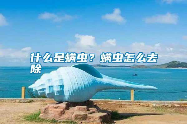 什么是螨蟲(chóng)？螨蟲(chóng)怎么去除