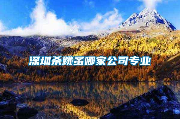 深圳殺跳蚤哪家公司專(zhuān)業(yè)
