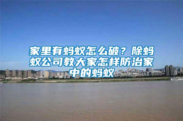 家里有螞蟻怎么破？除螞蟻公司教大家怎樣防治家中的螞蟻