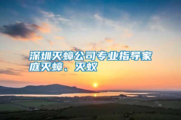 深圳滅蟑公司專業(yè)指導(dǎo)家庭滅蟑、滅蟻